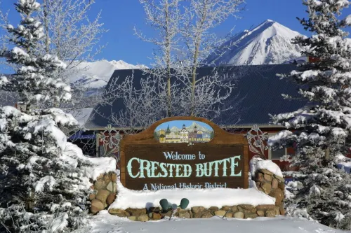 Cozy Cabin in the Heart of it All - Unbeatable Location!