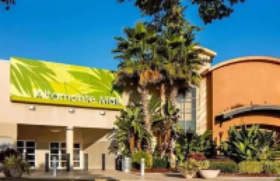 Renovated Peaceful Luxury Walk to Mall Park Publix