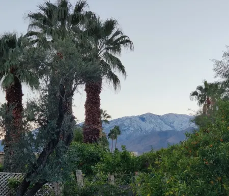 Spacious Private Resort walk to Downtown Palm Springs