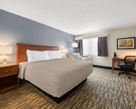 貝斯特韋斯特酒店 賴斯萊克酒店