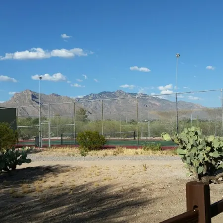 Foothills Ranch House in Casas Adobes, 8 ac estate with Pool, Tennis, Pickleball