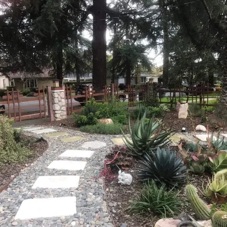 Charming/Private Home on Deodar Pine-lined St.