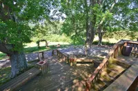 She's back! Under new management