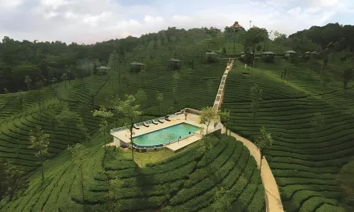 Wild Planet Jungle Resort