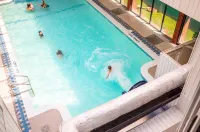 Rodd Royalty - Pool