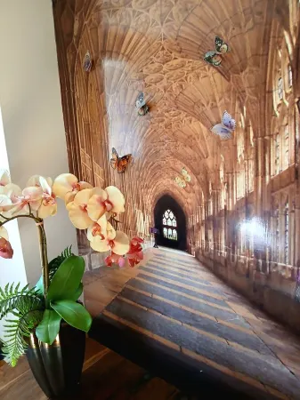 Butterfly Cottage, Dog Friendly, Great Price 24th-29th Aug Due to Cancellation