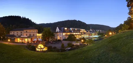 巴德温泉緹娜酒店