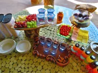 Wild Dog Guest Lodge