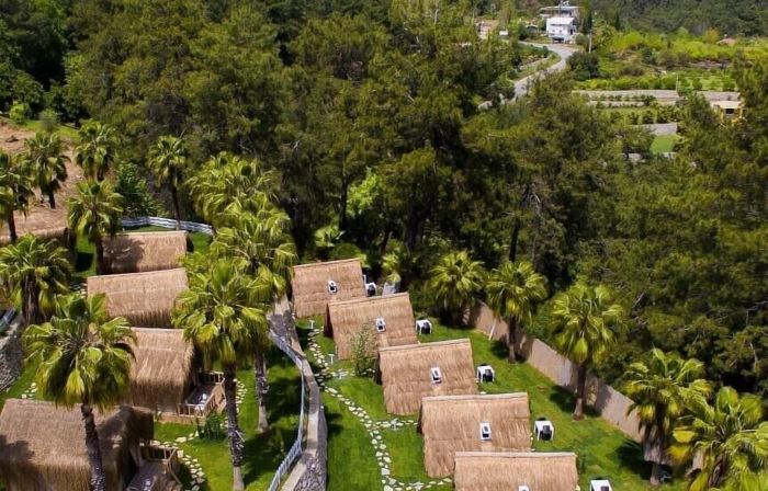The Hill Glamping