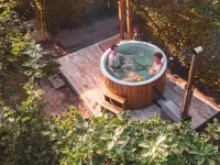 Villa in Netherlands with Sauna & Comfort - Villas