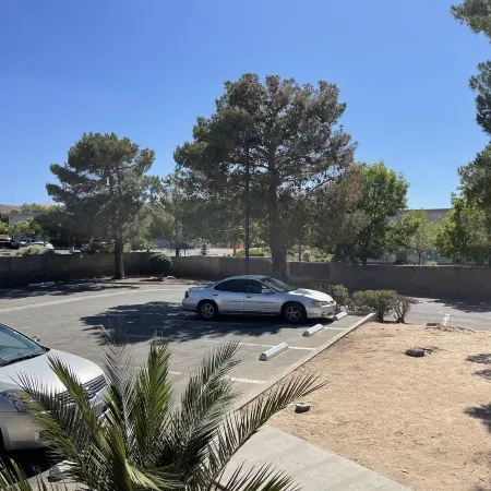 Palms Inn & Suites