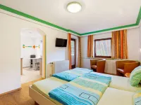 Apartment in Saalbach Hinterglemm Near Ski Area