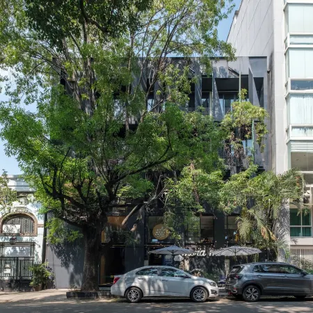 Boga Mexico City by Lumina