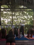 Villa Atlas Guesthouse - Gym