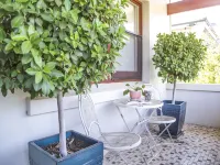 Mataro Cottage Hotels in Tanunda