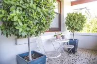 Mataro Cottage Hotels in Tanunda