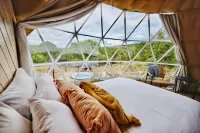 失落的飯店 伯尼特縣住宿飯店