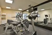 Holiday Inn Express BOSTON-MILFORD by IHG - Gym