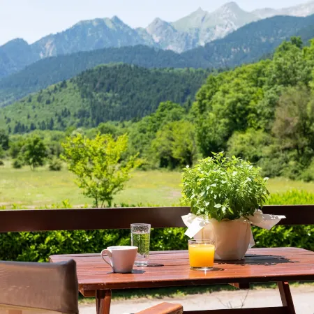 Natura Chalets