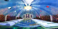 MEDDOM Park - pet friendly