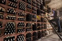 Ritterhof Suite at the Fitz-Ritter Winery - VDP/Organic Hotels in Bad Durkheim