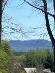 Beary Relaxing-Cozy Getaway for Family and Friends- Pet Friendly