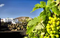 Hotel Rural Finca de La Florida Hotels in Teguise