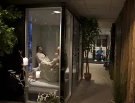 Sølvgarden Cottages Hotels in Rysstad