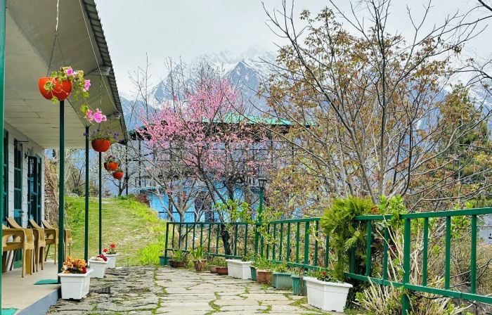 Himalayan High, Auli, by Himalayan Eco Lodges