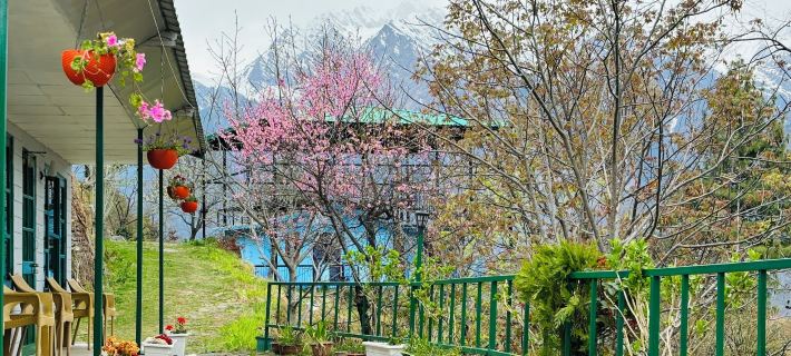 Himalayan High, Auli, by Himalayan Eco Lodges Hotels in Chamoli
