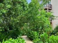 Nerea Tulum Hotels near Cenote Dos Ojos