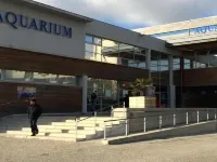 Hôtel de l'Océan Hotels in der Nähe von New World Museum (Musee du Nouveau-Monde)