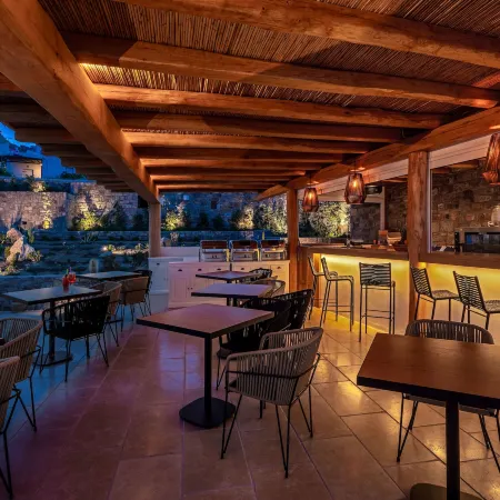 Mykonos Cactus