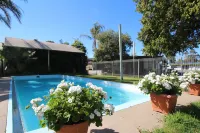 Cobram Colonial Motor Inn - Pool