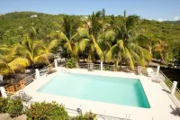 Coconut Tree Villa - Pools