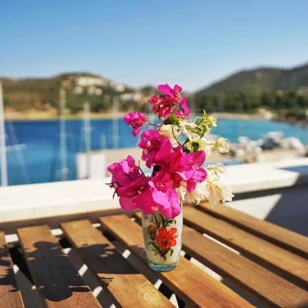 Bora Hotel