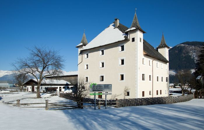 Schloss Saalhof - Schlossflair, Bauernhofleben, Familienzeit im Apartment