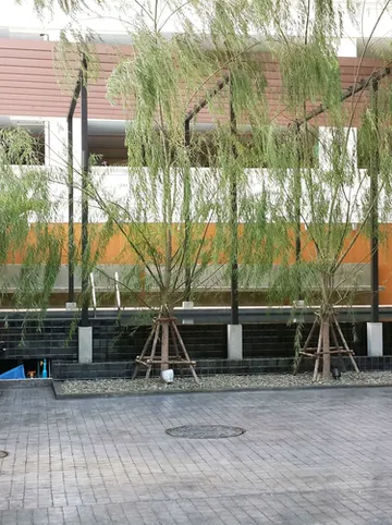 รูปภาพของโรงแรมสิรีนสุขุมวิท 39