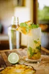 Sleeping Giant Rainforest Lodge - bar