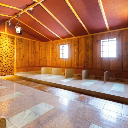 Hotel WBF Grande Asahikawa(Natural Hot Spring MinaPirika No Yu)