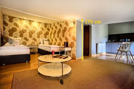 Stare Kino Cinema Residence Отели в г. Лодзь