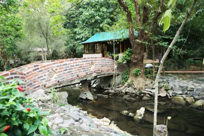 Long Phuong Homestay Hotels near Ti Tốp Đỉnh núi Đảo