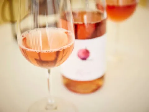 アストリア ホテル バラトンフレドのホテル