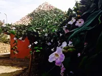 Rwiza Village Hotels in Kibuye