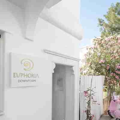 Euphoria Downtown Hotel Exterior