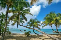 The Buccaneer Beach & Golf Resort - Beach