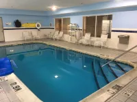 Quality Inn I-94 near Wings Stadium - Pools