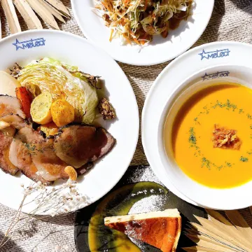 Hakuba Pension & Log Hotel Meteor