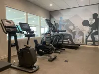Best Western Plus Horseheads Inn  Suites Hotels in Big Flats