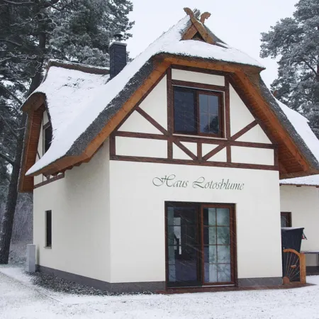 Ferienhaus Lotusblume in Zirchow